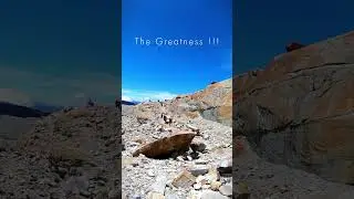 Hiking at the NNP El Cocuy! Laguna Grande Trail! Contact us! +57 3503376495 @nomadadventurecol