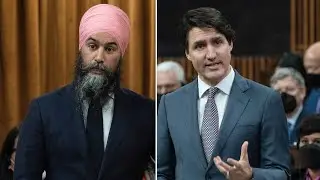 Opinion: NDP destined to be the &lsquo;conscience of Parliament&rsquo; in pact with Liberals