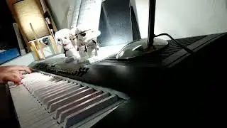 Piano practice, bein green / rainbow connection 