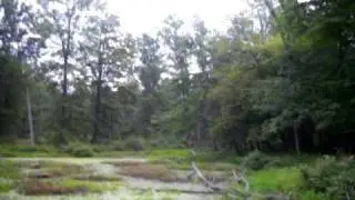 Me,Liv, and some hoppin frogs :D