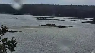 The unmistakeable sound of an Osprey on Muscongus Bay. 08.27 / 07 April 2018