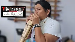 Surprise, Luis Wuauquikuna LIVE