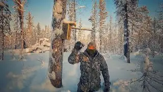 ОДИН В ТАЙГЕ. ОТ РАЗОЧАРОВАНИЯ НА ОХОТЕ ДО УДОВОЛЬСТВИЯ У МАНГАЛА. ОХОТА НА СОБОЛЯ. ПО ПУТИКУ.
