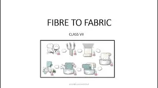FIBRE TO FABRIC | WOOL PROCESSING | REARING AND BREEDING OF SHEEP | NCERT | CLASS VII