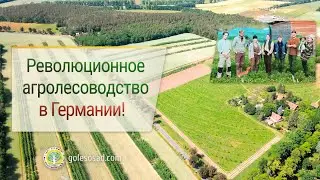 Революционное агролесоводство в Германии!
