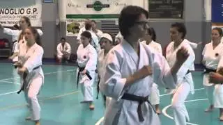 Karate Fabio Lucignani Referente Piemonte
