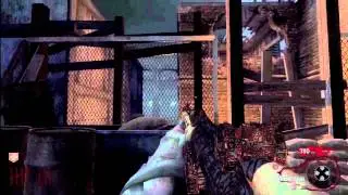 Der Riese Easter Egg - The Fly Trap