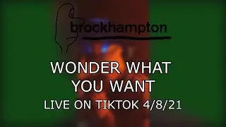 BROCKHAMPTON - WONDER WHAT YOU WANT on TikTok 4/8/21
