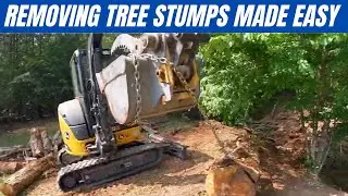 Removing Tree Stumps Forever Made Easy