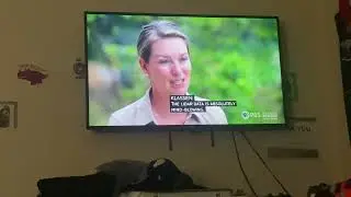 Opening to &ldquo;Nova&rdquo; Season 53 &ldquo;Ankgor: Hidden Jungle Empire&rdquo; (WNEO-TV)