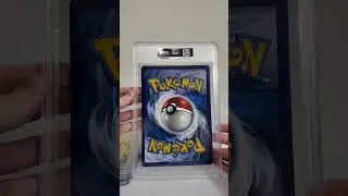 PSA GRADES THIS? JUMBO POKEMON GRADED REVEAL! #grading #gradingpokemon