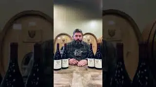 Josh Bergstr&ouml;m from Bergstr&ouml;m Wines introduces his single vineyard Pinot Noir's
