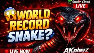 Aaj Banega World Ka Sabse Bada Snake 🐍 | LIVE with AKplayz