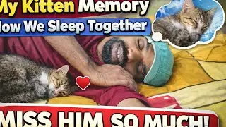 Sleeping With My Kitten 💔 | A Beautiful Memory I&rsquo;ll Never Forget|Miss My Kitten 😢