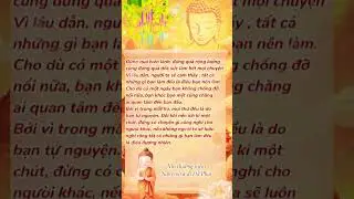 Phật ph&aacute;p #lờiphậtdạy #phậtgi&aacute;o #loiphatday #phatphap #loivangphatday #phật #tinhtam
