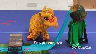 Lion Dance EXTREME Stunts at Penang Championship! 😱🦁 | Sunshine Central Mall 2024