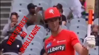Webster best 50in bbl league