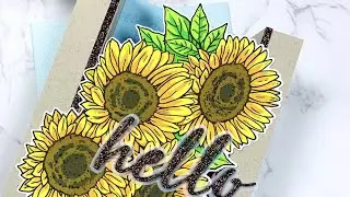 Bridge Cards using Hero Arts September My Monthly Hero Kit