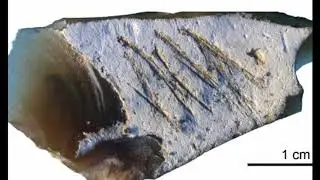 374 Ancient Message Found On Stone Tool In Crimea Dates Back 36,000 Years