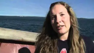 Energy & the Ocean Environment  - Woods Hole