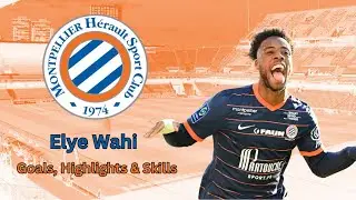 Elye Wahi 2023: Unleashing the Fury of Montpellier's Top Scorer | Goals, Skills & Highlights