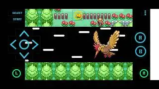 Part 15:Pokemon Rijon Adventures 'Where do i get the next badge now?'