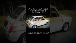 「千石峡と千尋」#旧車 #360cc #ゴールデンレトリバー　#ゴールデンレトリバー子犬