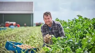 De Opperdoezerronde aardappels van Koos Zwaan voor DekaMarkt | Herkomst
