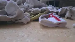 [Kärcher WD 6P] Vacuuming all socks 😏
