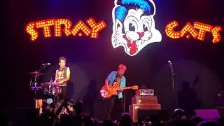 Stray Cats: 