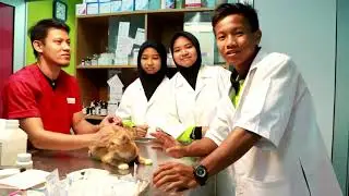 Eksplorasi Alam Kerjaya Vorelta 2017