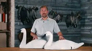 Higdon Outdoors - Tundra Swan