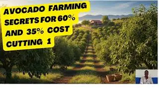 AVOCADO FARMING SECRETS FOR 60% YIELDS INCREASE & 35% COST CUTTING 1: Tutorial: By Florence Alimo
