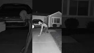 Real CCTV Footage: Strange Creature Crawling Near House at 3AM