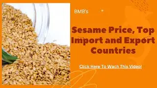Sesame Seed Price, Top Import & Export countries 2021