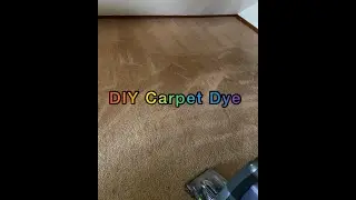 DIY Carpet Coloring (Carpet Dye)