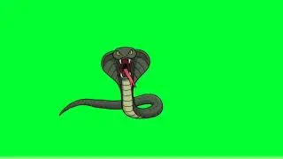 Snake talking and attack green screen 