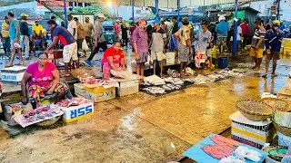 Amazing!! The Hottest Fresh Seafood Market Live In Srilanka | Fish Cutting Skills