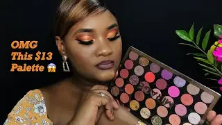 WHATS THE TEA ON THIS PROFUSION MIRAGE PALETTE | FIRST IMPRESSIONS/ REVIEW| DARK SKIN