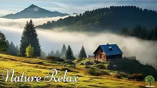 Great relaxing music🍁Nature melodies help reduce stress, heal the soul, stop overthinking & Healing