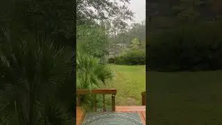 Scary Soundscape ( Spoopy Four )
