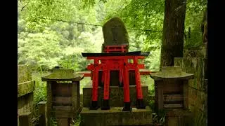 Leica Q Type 116 Part 9 Fushimi Inari