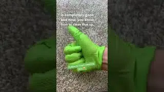How To Remove Candle Wax From Carpet