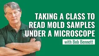Taking a Class to Read Mold Samples Under a Microscope