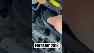 Subaru Forester | Drive Belt Replacement  |Serpentine Belt Change #forester #subaru