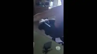 Хочу на ручки!!!