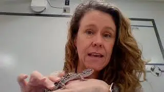 Welcome to Biology (Spring semester 2021)