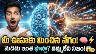 Your Brain Is Faster Than You Think 😲  Brain Facts
