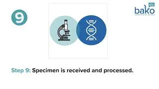 Optimal Nail Specimen Collection for Onychodystrophy Testing