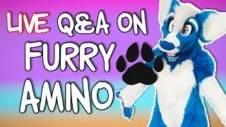 [Finished] Doing a live Q&A on Furry Amino!